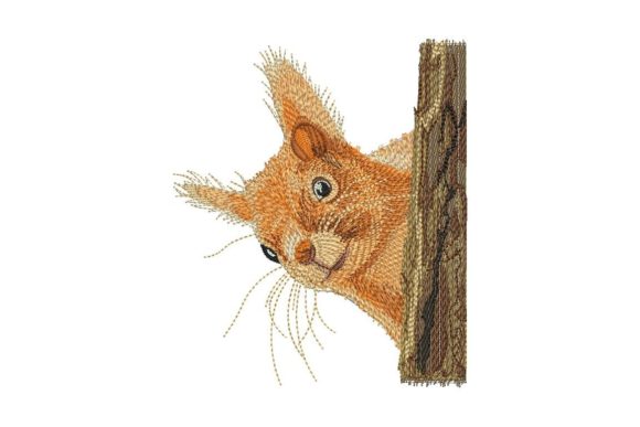 Squirrel Embroidery Design